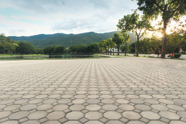 Best Decorative Driveway Pavers  in Stlman Valley, IL